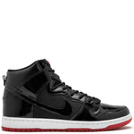 Nike Zoom Dunk High