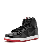 Nike Zoom Dunk High