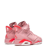 Jordan Air Jordan 6 Retro Nrg