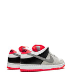 Nike Sb Dunk Low