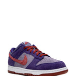 Nike Dunk Low Retro Sp