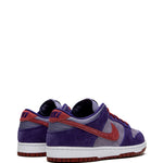 Nike Dunk Low Retro Sp