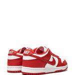 Nike Dunk Low Retro Sp