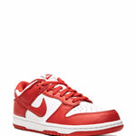 Nike Dunk Low Retro Sp