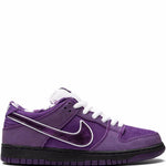 Nike X Concepts Sb Dunk Low Pro Og Qs