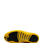 Jordan Air Jordan 12 Retro