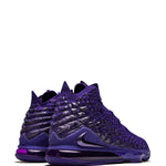 Nike Lebron 17