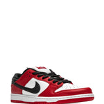 Nike Sb Dunk Low Pro
