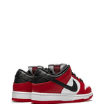 Nike Sb Dunk Low Pro