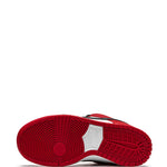 Nike Sb Dunk Low Pro