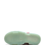 Nike Dunk Low Disrupt
