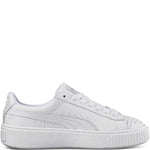 PUMA Platform Ocean