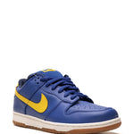 Nike Dunk Low Pro Sb
