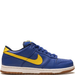 Nike Dunk Low Pro Sb