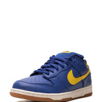 Nike Dunk Low Pro Sb