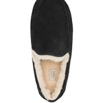 Ugg Ascot Lace-Up Sneakers
