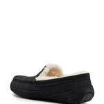Ugg Ascot Lace-Up Sneakers