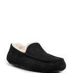 Ugg Ascot Lace-Up Sneakers