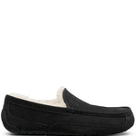Ugg Ascot Lace-Up Sneakers