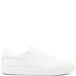 Timberland Emerson Sneakers